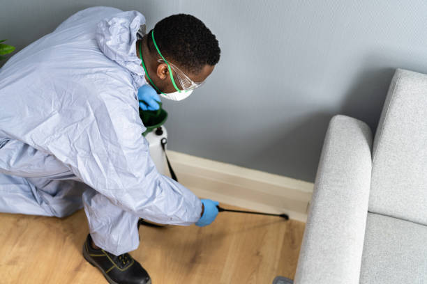 Emergency Pest Control Services in Aventura, FL